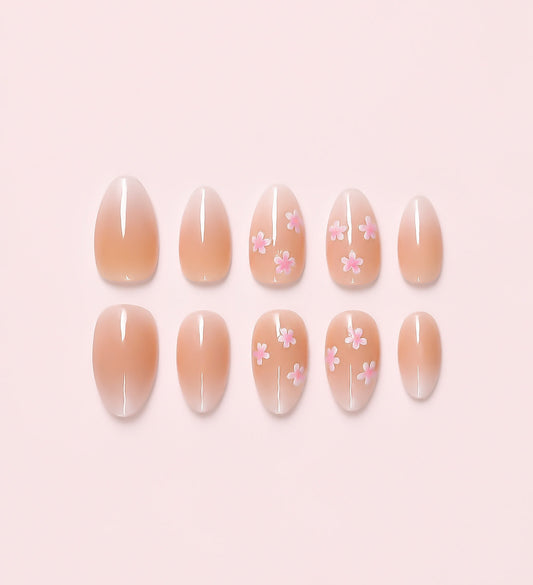 Ombré Lys
